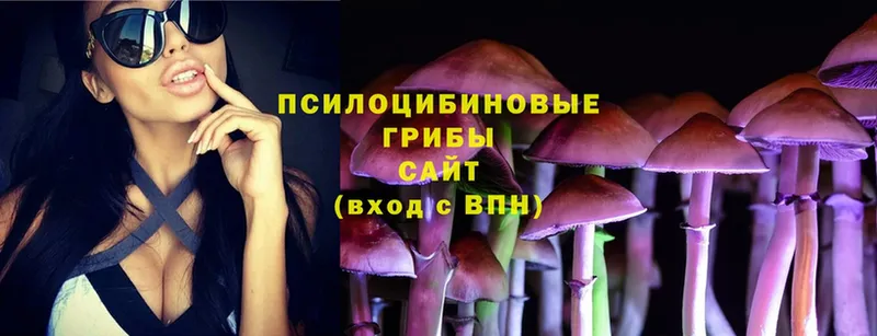 магазин продажи   мориарти официальный сайт  Галлюциногенные грибы Psilocybe  Асино 